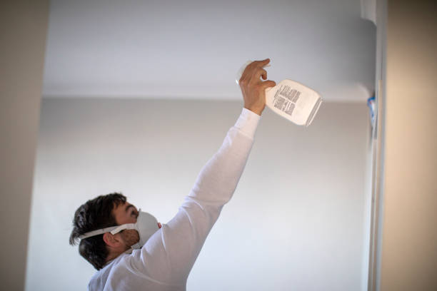 Best White Mold Remediation in Comstock Park, MI