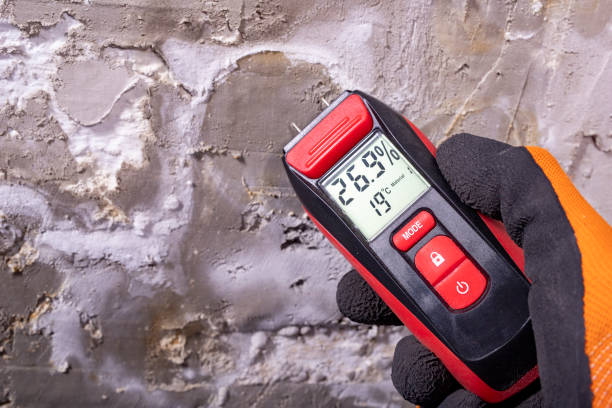 Best Kitchen Mold Remediation in Comstock Park, MI